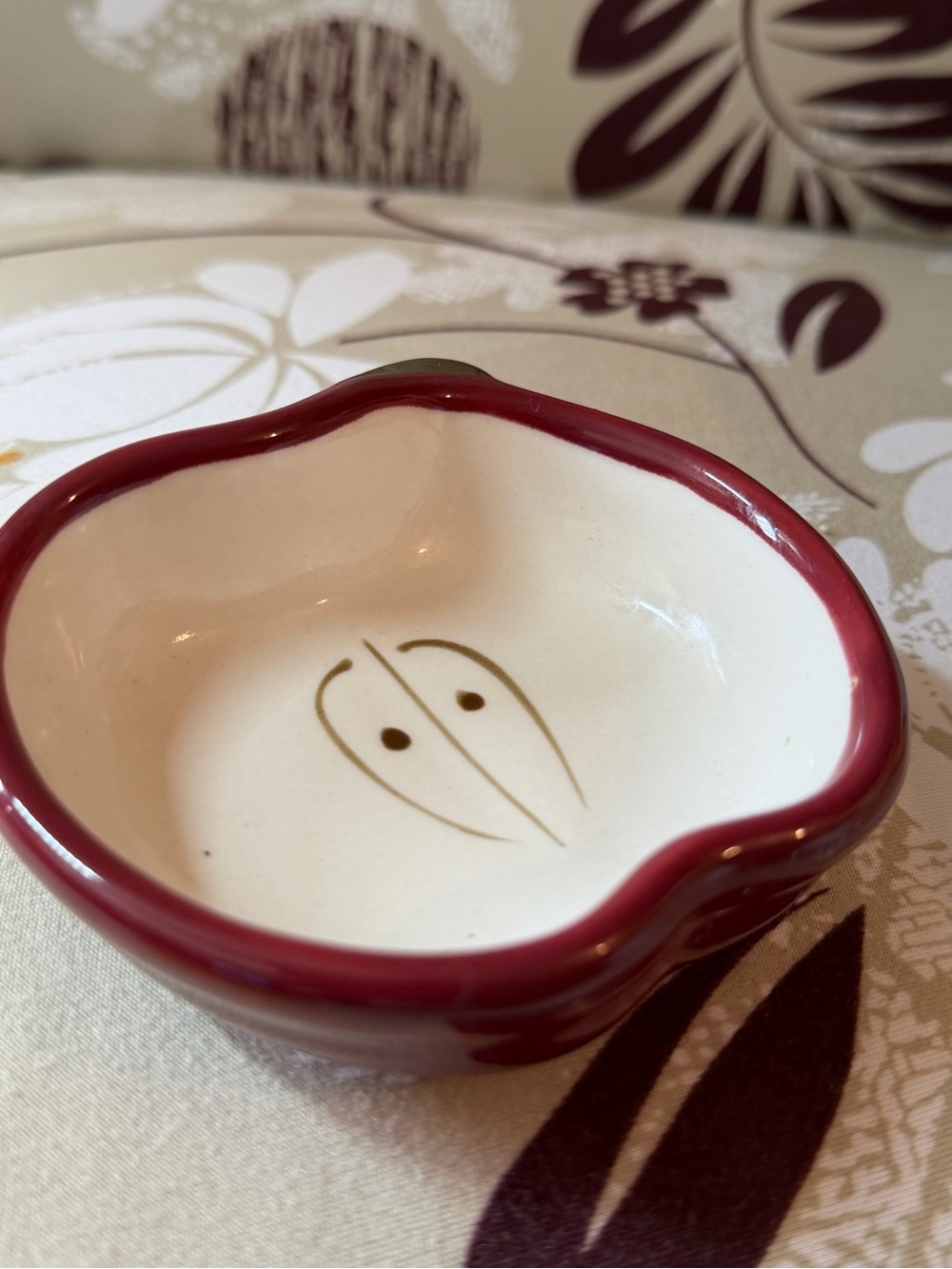Hand-Painted apple dish Dish with Red Rim